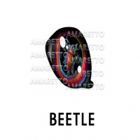 Beetle