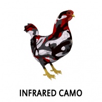 Infrared Camo Hen