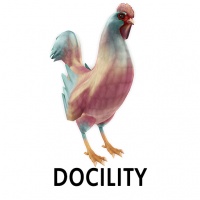 Docility Rooster