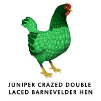 Juniper Crazed Double Laced Barnevelder Hen