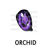 Orchid