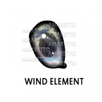 Wind Elemental Eye