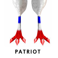 Patriot