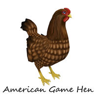 American Game Hen