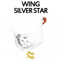 Silver Star