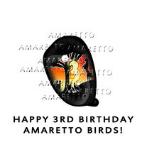 Happy 3rd Birthday Amaretto Birds! Eye