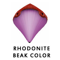 Rhodonite