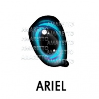 Ariel