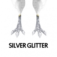 Silver Glitter