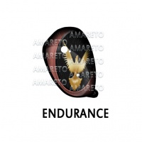 Endurance