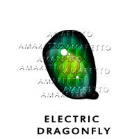 Electric Dragonfly Eye