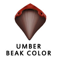 Umber