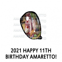 2021 Happy 11th Birthday Amaretto! Eye