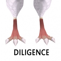 Diligence