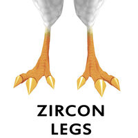 Zircon